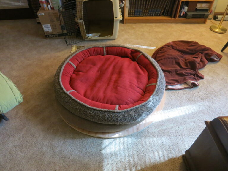 Test-fitting the dog bed to the top plywood circle