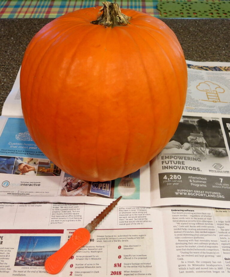 Pick a pleasing pumpkin. Put in on a paper