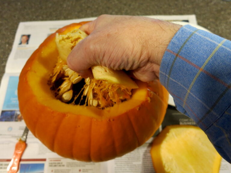 Plunge your hand into the pumpkin