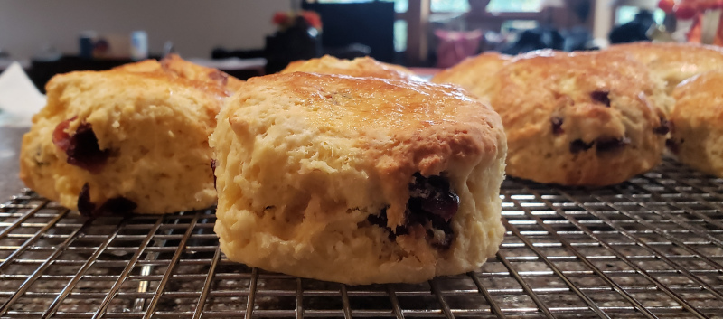 Nicely risen scones, on my third attempt