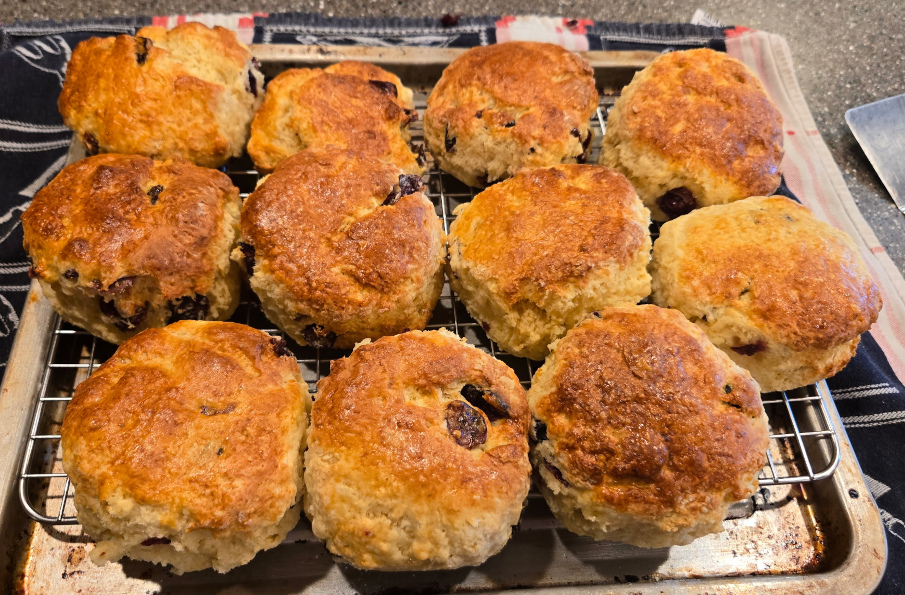 Reproducibly-wonderful scones, nicely risen.